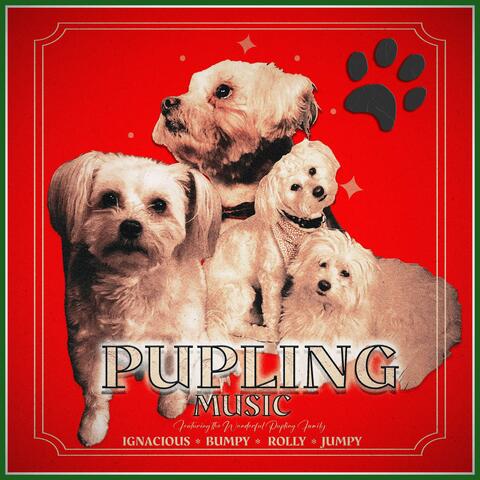Pupling Music