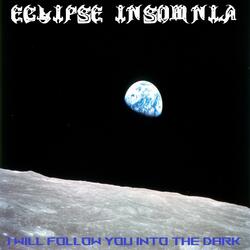 I Will Follow You Into The Dark