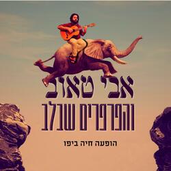 שיר הצרצר
