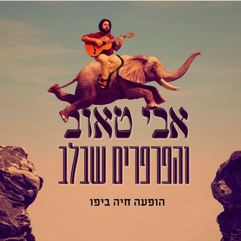 שיר הצרצר (הופעה חיה)