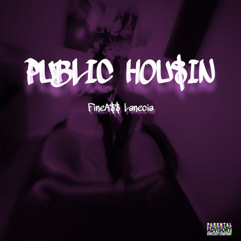 PUBLIC HOU$iN