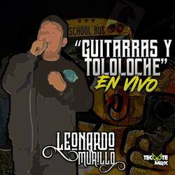 GUITARRAS Y TOLOLOCHE