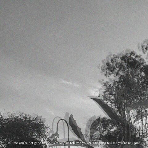 tell me you're not gone