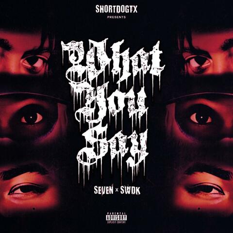 What You Say (feat. SWDK & Seven)