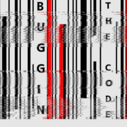 Buggin The Code