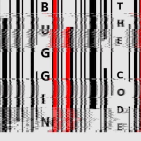Buggin The Code
