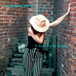 It Took You By Surprise (feat. Tony Garnier)