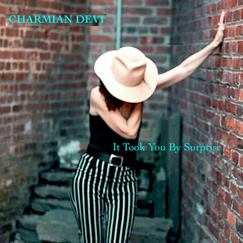 It Took You By Surprise (feat. Tony Garnier)