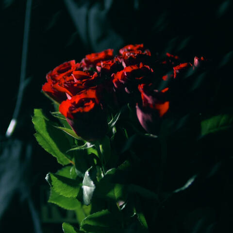 Prázdno (feat. Rainer)