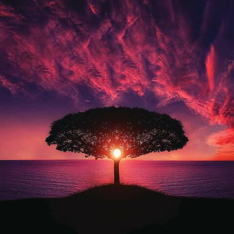Unwind