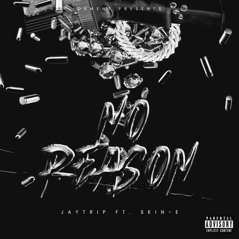 No Reason (feat. Skin-E)