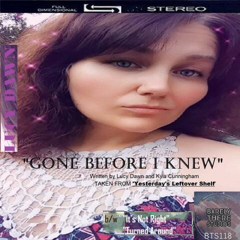 Gone Before I Knew