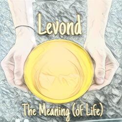 The Meaning (of Life)