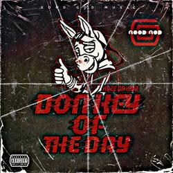 DONKEY OF THE DAY