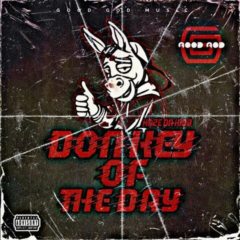DONKEY OF THE DAY