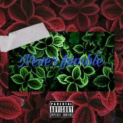 Never fumble (feat. Mir)