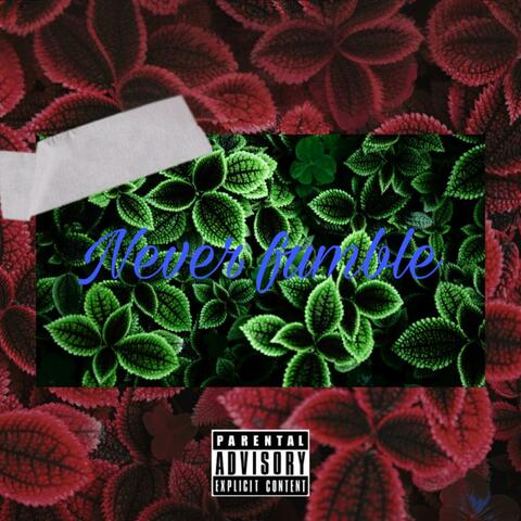 Never fumble (feat. Mir )