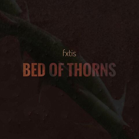bed of thorns