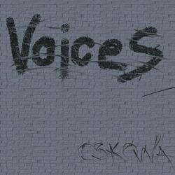 Voices (feat. Karo Kowalska)