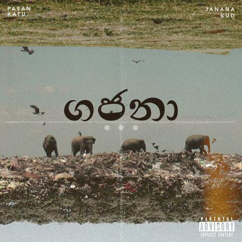 Gajana (feat. Pasan Katugampala)