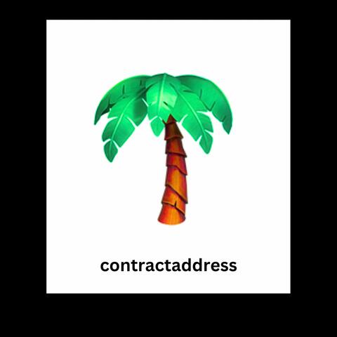 Contract Address (feat. $CA)