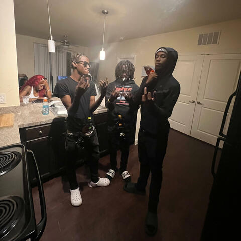 Shake Sumn