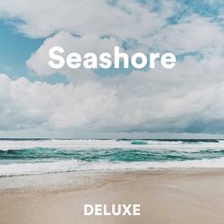 Seashore