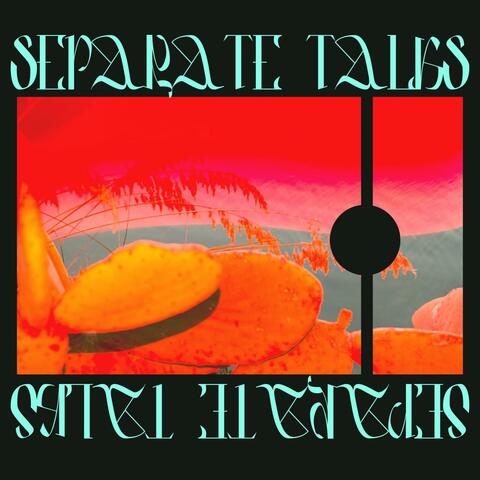 separate talks