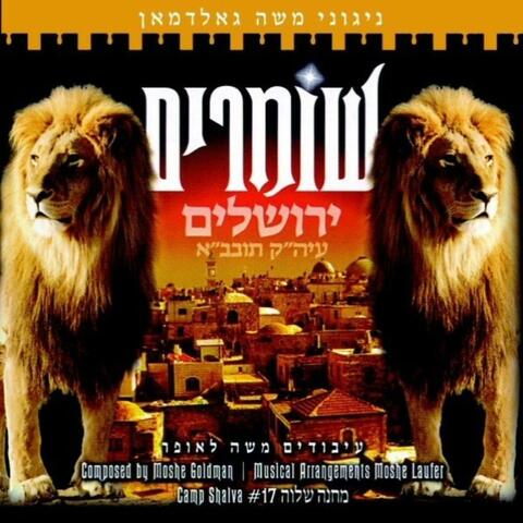 Camp Shalva 17, Shomrim