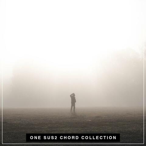 ONE SUS2 CHORD Ambient Backing Tracks