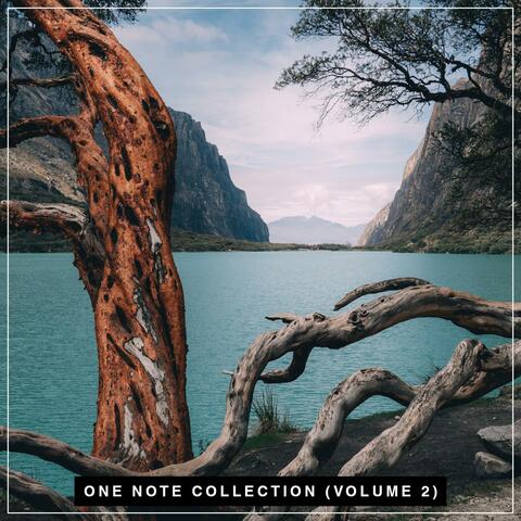 ONE NOTE Ambient Backing Tracks, Vol. 2