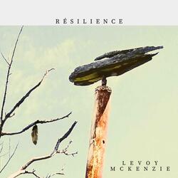 Résilience (feat. Laurent McKenzie)