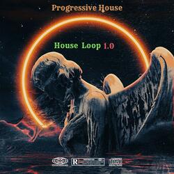 House Loop 1.0