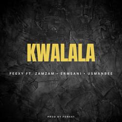 Kwalala (feat. Feexy, Zamzam, Erm sani & Usman bee)