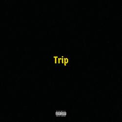 Trip