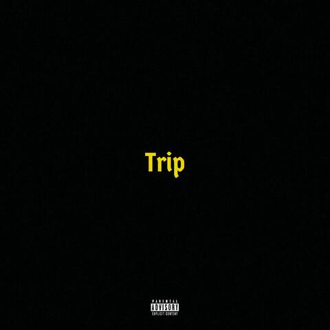 Trip