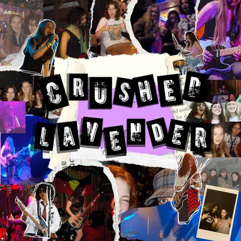 Crushed Lavender