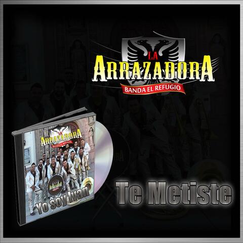 Te Metiste