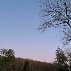 Midwinter Moon