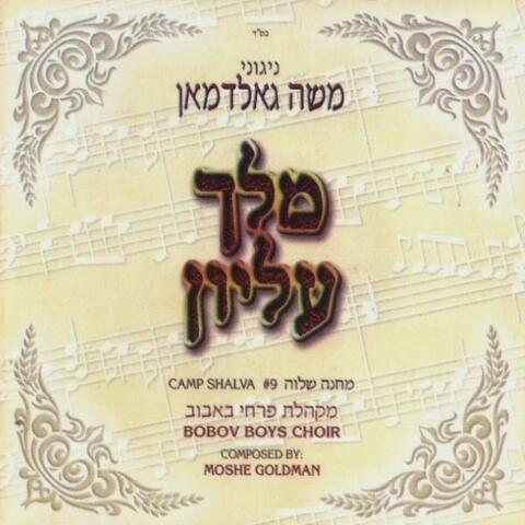 Camp Shalva 09, Melech Elyoin
