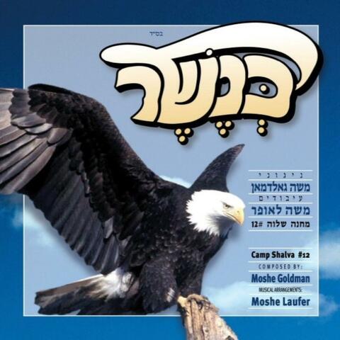 Camp Shalva 12, Kanesher