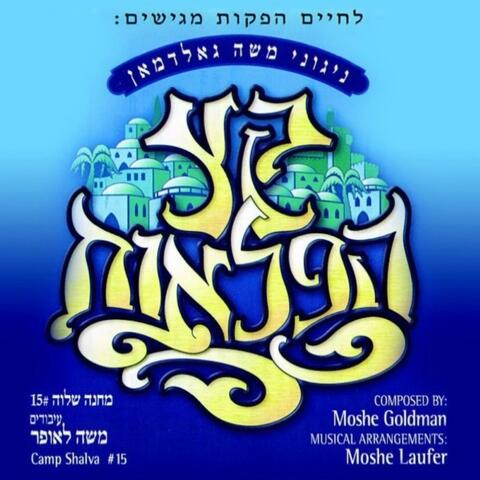 Camp Shalva 15, Keitz Hapluois