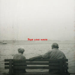 True Love Waits