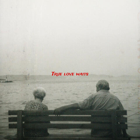 True Love Waits