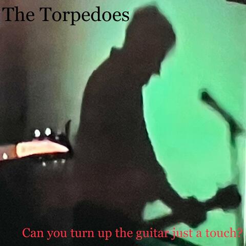 Can you turn up the guitar just a touch? EP