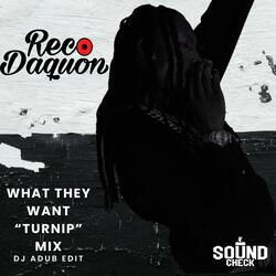 WHAT THEY WANT (feat. Reco Daquon)