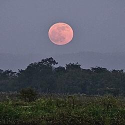 Under The Moon