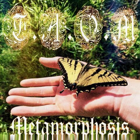 Metamorphosis