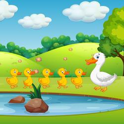 Five Little Ducks