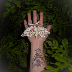 entropy | dissolution